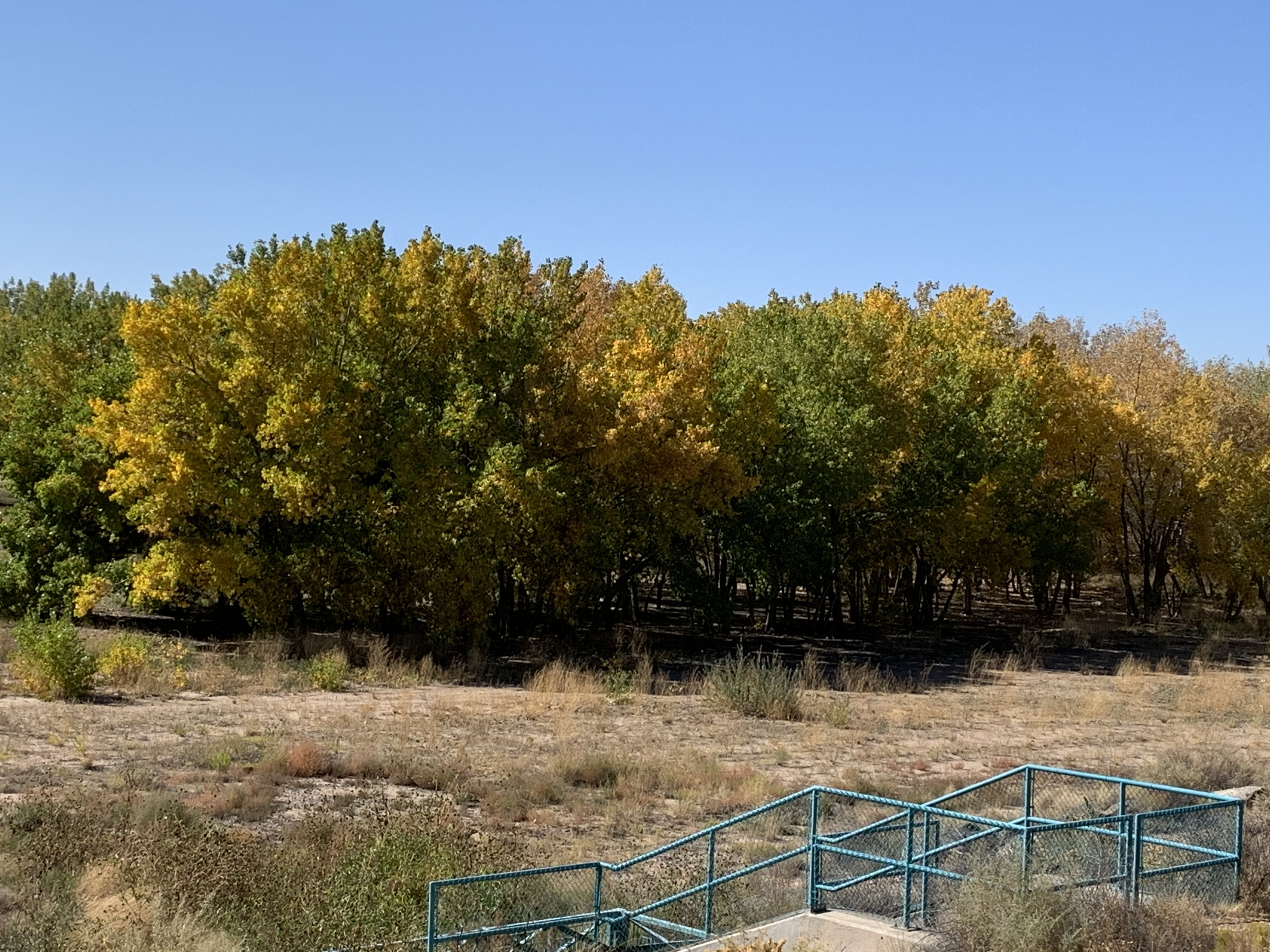 new-mexico-flood-plain