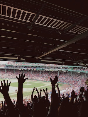 baseball crowd